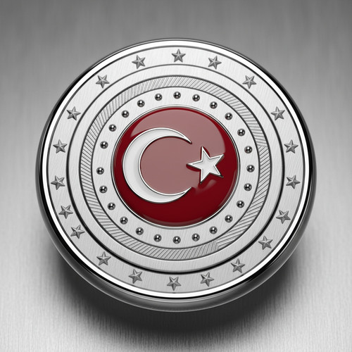 Türkiye Bayrağı Resimi V130220260358 N19