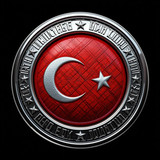 Türkiye Bayrağı Resimi V130220260358 N11