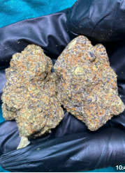 Screenshot 2026 02 13 104939.png