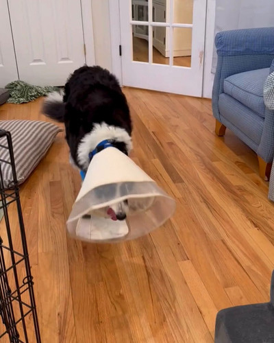 Q 2nXmJ eLgEcClH.jpg