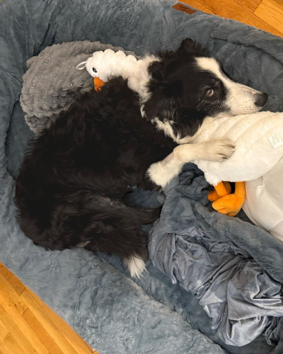 HA SQDzXEAAQfSZ?format=jpg.jpg