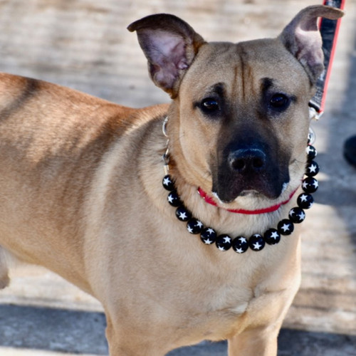 HA1uSbpaAAA 0dh?format=jpg.jpg