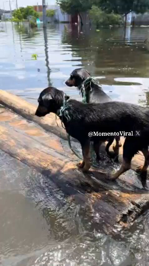 QACZ 3acjXBG2pW0.jpg