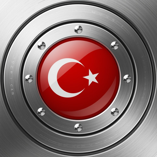 Türkiye Bayrağı Resimi V130220260358 N81