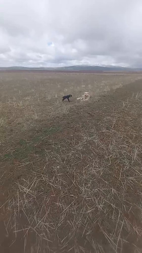 YXtP7F ullUQjXew.jpg