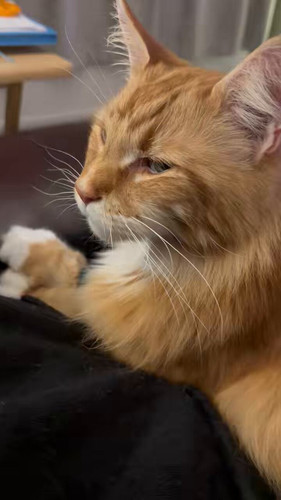 zvjiu xCc bj2N6s.jpg