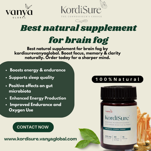 Best natural supplement for brain fog.png