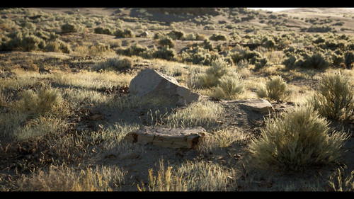 QPlRsLSmawcia ME.jpg