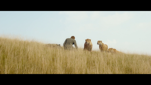 vlcsnap 2026 02 13 10h16m53s653.png