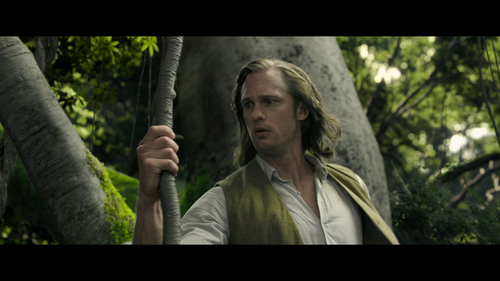 vlcsnap 2026 02 13 10h17m49s297.png