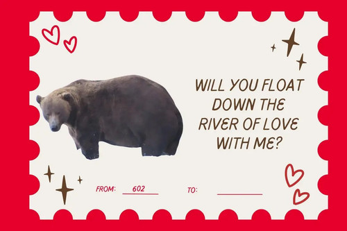 img 4 1770957285973.jpg