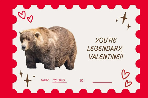 img 6 1770957360354.jpg