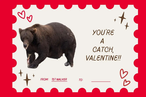 img 1 1770957257290.jpg