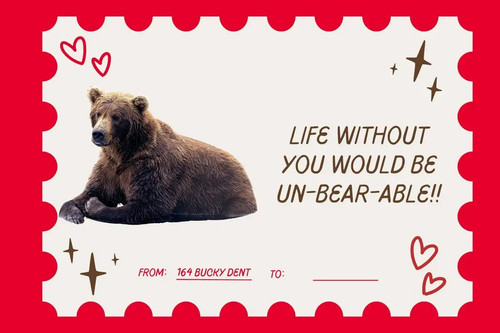 img 5 1770957309660.jpg