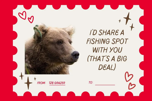 img 7 1770957373190.jpg