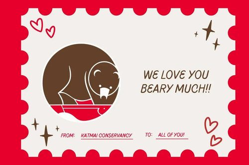 img 8 1770957431217.jpg