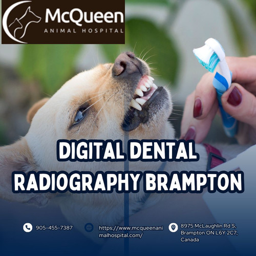 digital dental radiography brampton.jpg