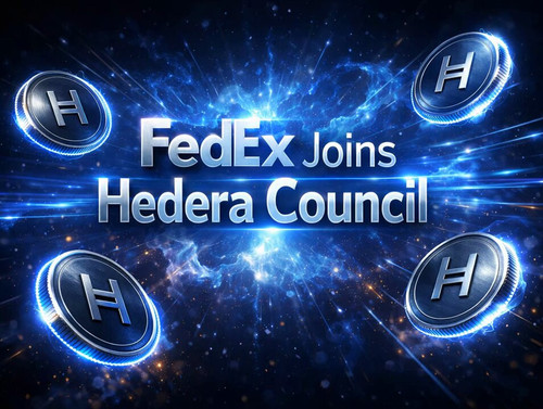 dD4cpIPY NtPzC7A.jpg