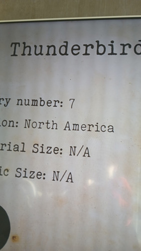 temp 1771063158642.jpg