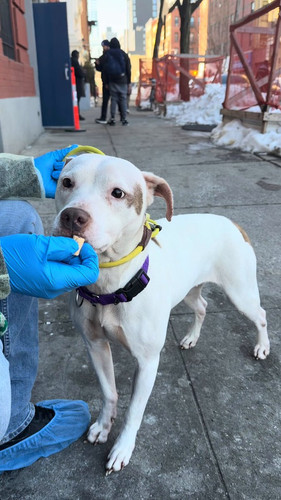 B0K8vZAyvd2mk1 j.jpg