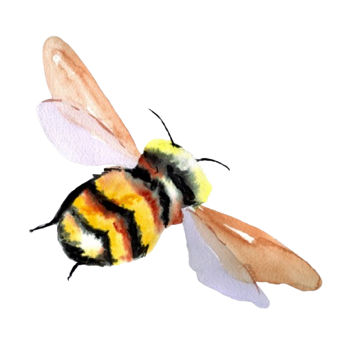 bee.png
