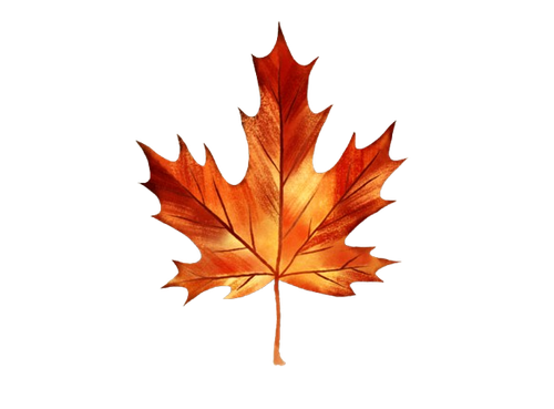 leaf.png