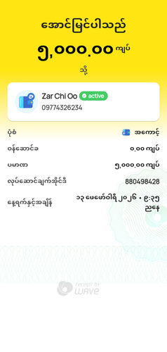 wavepay 880498428 1770995146419.png