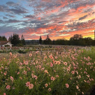 bKWeOssX1UJ ZiQD1d9UryFVfjGS3TQfLOF3mvD5EXXl4T4Z22rwxuP1HlloRAE3r018mC4dTkaKzK7Xgp4Yp 24TOTrnb0IBQf4.jpg