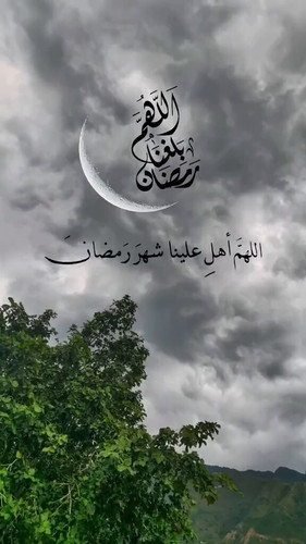 VFhSlWwcVF3K cmw.jpg