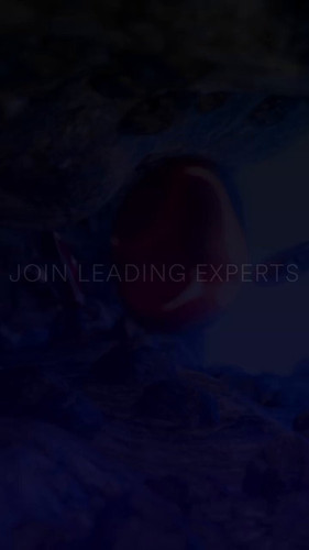 JPe IWjWic9zpxVh.jpg