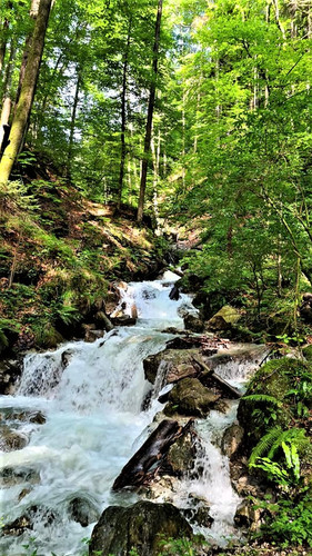 HA3gz UXEAABJS0?format=jpg.jpg