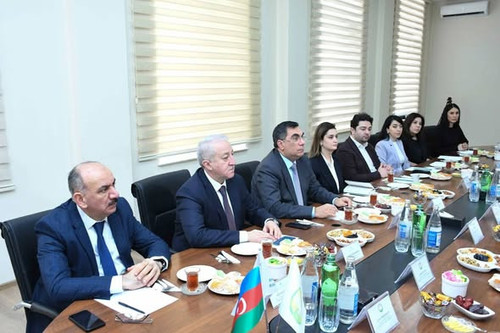 633301712 1217732897173304 4697329287945937512 n.jpg?stp=dst jpg s590x590 tt6& nc cat=105&ccb=1 7& n.jpg