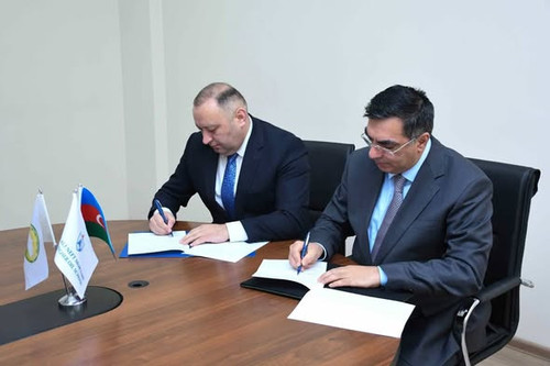 631175616 1217732937173300 7805456523511577457 n.jpg?stp=dst jpg s590x590 tt6& nc cat=101&ccb=1 7& n.jpg