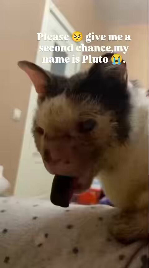 6 pLgldpW9cTyAXh.jpg