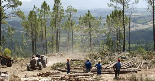 5634490590880350246?url=https%3A%2F%2Fkep.cdn.index.hu%2F1%2F0%2F6745%2F67453%2F674539%2F67453907 49.jpg