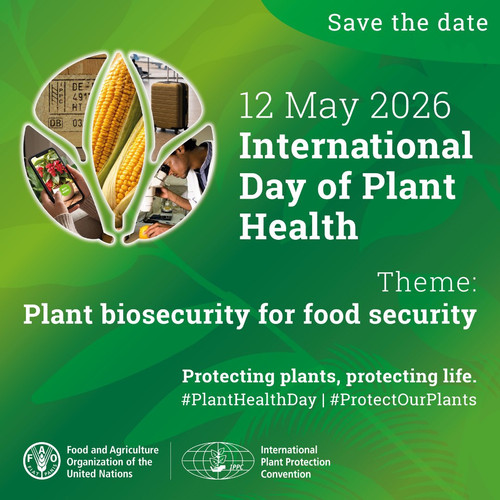 HA aDjZW4AEj0 M?format=jpg.jpg