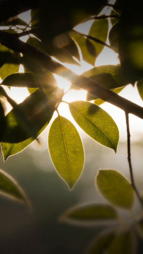 VveRFOHS4Bqcn2c .jpg