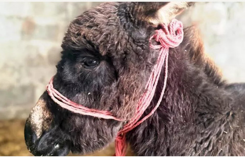 HA AY4 W0AA6sDh?format=jpg.jpg