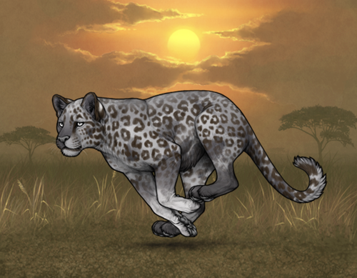 Screenshot 2026 02 13 at 10.46.27 AM.png