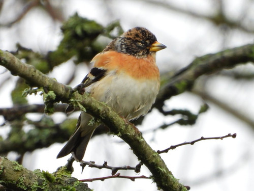 HA bFZJbsAMxNc9?format=jpg.jpg