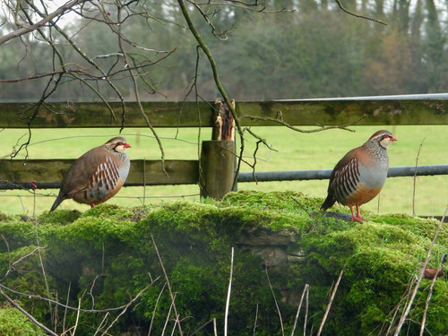 HA bFZYbsAA k?format=jpg.jpg