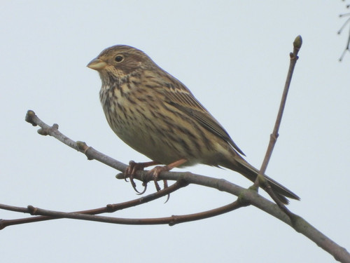 HA bFZDbsAMq4Vr?format=jpg.jpg