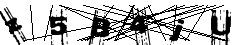 test.jpg