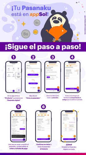 appsol Infografía PD v3.png