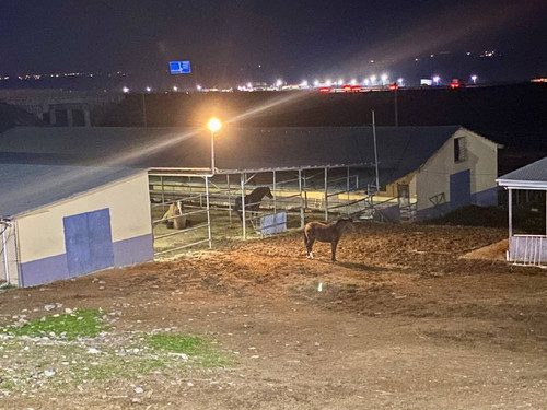 k 5r3NoOsWKa00yYEJW6ZP9F9Gu4BZ2OByCUPtlmrHk97TzI67evJolVH1XDNeRJbXxCk8kinJULUzx8NrXsxGB1TSwLQfjbfdXP.jpg