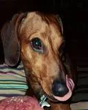 IMG 20250805 035421 074.webp