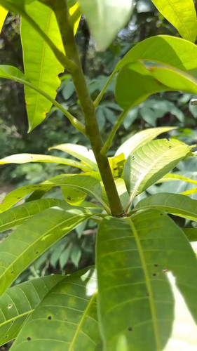 88H0 mMDriGBJneK.jpg