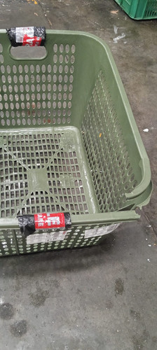 WhatsApp Image 2026 02 13 at 07.58.09.jpg