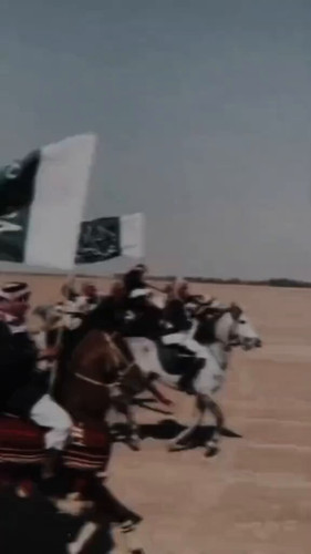 l7Vg 92u71iolzfb.jpg