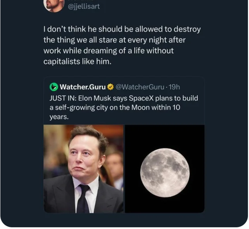 8427658b f26a 4c4c 8262 8f23d988cdea ReverseSearchImage.png